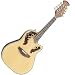 Applause MAE148 Roundback Acoustic/Electric Mandolin, Black