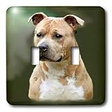 Dogs Staffordshire Terrier - American Staffordshire Terrier - Light Switch Covers - double toggle switch