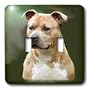 Dogs Staffordshire Terrier - American Staffordshire Terrier - Light Switch Covers - double toggle switch