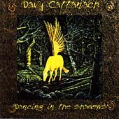DANCING IN THE SHADOWS