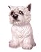 Westie Ceramic Dog Bank