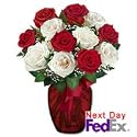 Roses - Fire n Ice 12 Premium Roses(Valentines Offer: Free Shipping)