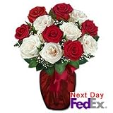 Roses - Fire n Ice 12 Premium Roses