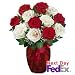 Roses - Fire n Ice 12 Premium Roses