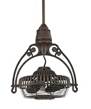 Fanimation Fans FPH210RS 19" Old Havana Rust Fan w/ Wall Mount FPH61RS