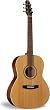 Seagull Coastline S6 Folk Acoustic Guitar