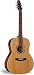 Seagull Coastline S6 Folk Acoustic Guitar