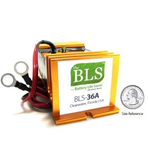 Amazon.com : 36 Volt Battery Desulfator : Golf Cart Accessories 