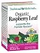 Health & Personal Care : Traditional Medicinals Organic Raspberry Leaf, 16-Count Boxes (Pack of 6)