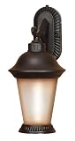 Nuvo Lighting 60/2503 Clarion Outdoor Large Wall Lantern Arm Down with Photocell, Brushed Wheat Glass, Chestnut Bronze