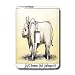 Londons Times Miscellaneous Funny Cartoons - Endangered Braman Bull - Light Switch Co...