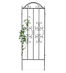 Trellis