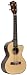Lanikai S-TEQ Spruce Series Tenor Acoustic Electric Ukulele Lanikai S-TEQ Spruce Series Tenor Acoustic Electric Ukulele