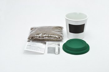 sign&date レタス栽培セット 标志和日期生菜