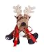 Limited Edition Webkinz Reindeer