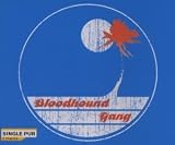 Screwing You on the Beach at Night - Bloodhound Gang