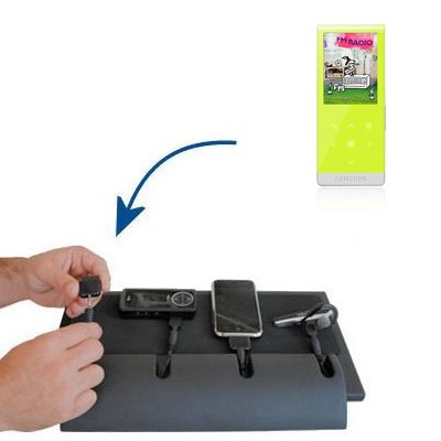 Gomadic Universal Charging Station - tips included for Samsung YP-T10JARY many other popular gadgets