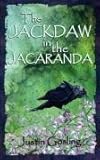 The jackdaw in the jacaranda