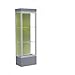 Edge Series Floor Display Case Frame Color: Satin, Base Color: Carbon Mesh, Case Backing: Pale Green