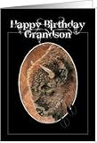 Birthday,Grandson, Buffalo, Bison, Nature, Animals West Collection Card