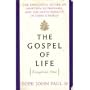 The Gospel of Life (Evangelium Vitae)