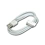 Apple Dock Connector to USB Cable - iPhone / iPod charging / data cable - Hi-Speed USB - 4 pin USB Type A (M) - Apple Dock connector