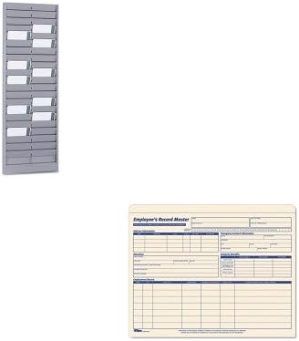 KITMMF20401TOP3280 - Value Kit - MMF 40-Pocket Steel Swipe Card/Badge Rack (MMF20401) and Tops Employee Record Master File Jacket (TOP3280)