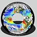 Climate, Environment, and Infectious Diseases
