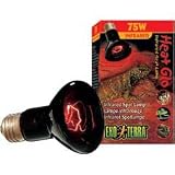 Kitchen & Housewares : Exo Night Glo Lamp 50W