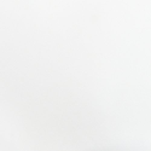 Stretch Knit Polyester Dust Mite & Allergy Control Queen 12-Inch Deep Pocket Mattress Protector