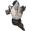 Canvasback Doorstop