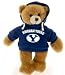 byu brigham young football teddy bear in a blue hoodie