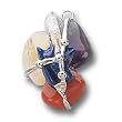 Mindfulness Amulet