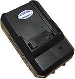 POWWER Canon CB-2LT Equivalent NB-2L NB-2L12 Battery Charger