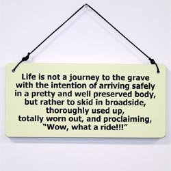 What A Ride Sign - Funny Birthday Gift Sign for Mom, Dad, or Friend