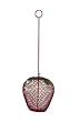 Apple Birdfeeder