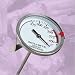 Kitchen & Housewares : Chaney Instrument 00699 Acu-Rite Deep Fry Turkey Thermometer