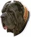 Large Neapoletan Mastiff Decal