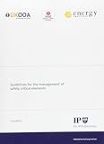 Guidelines for the management of safety critical elements