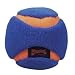 Pet Supplies : Plush Chuck-It Ball