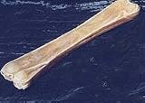 Pet Supplies : 12.5 Inch Pressed Bone 5 Count