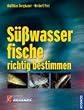 S��wasserfische richtig bestimmen