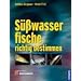 S��wasserfische richtig bestimmen