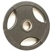 25lb Rubber Coated Grip Plate (EA)