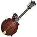 Musical Instruments : Michael Kelly Legacy Deluxe Mandolin, Antique Walnut