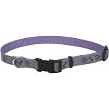 Lazer Brite Reflective Dog Collar, 18-26-Inches, Purple with Paws and Bones