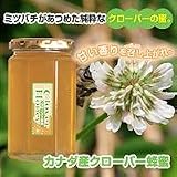 カナダ産クローバー蜂蜜　380g