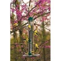 Bird Quest SBF3G 17