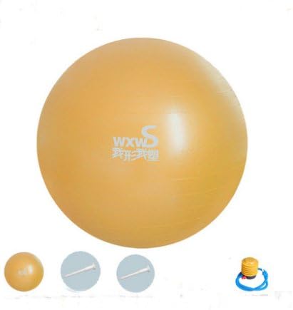 Zebratown 55cm Gold Fitness Exercise and Stability Ball