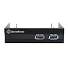 SilverStone FP36B Aluminum Front Panel 2X USB 3.0 Ports with 3.5-Inch to 2X 2.5-Inch Bay Converter Device (Black)